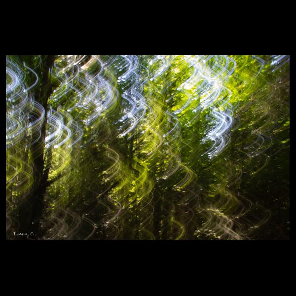 PHOTO84, CLUB, 84 , LUBERON